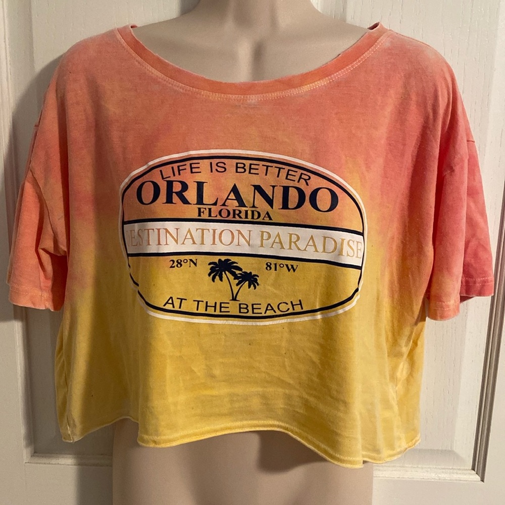 Orlando distressed crop top
